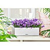 Lechuza Color Balkonkasten Cube Triple (L x B: 40 x 14 cm, Weiß)