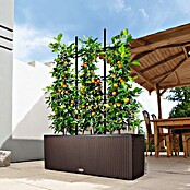 Lechuza Cottage Pflanzkasten Trio (100 x 32 x 34 cm, Kunststoff, Mokka)