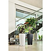 Lechuza Color Pflanzgefäß Cilindro (Ø x H: 23 x 41 cm, Kunststoff, Schiefergrau)