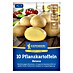 Kiepenkerl Pflanzkartoffeln Belana 