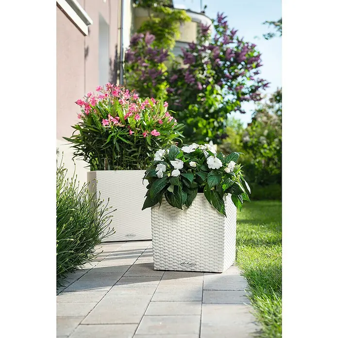 Lechuza Cottage Pflanzkübel eckig Cube - Außenmaß (L x B x H): 40 x 40 x 40 cm, Kunststoff, Weiß - Nahaufnahme von zwei quadratischen, weißen Pflanzgefäßen aus Korbgeflecht, gefüllt mit bunten Blumen auf einem gepflasterten Weg.