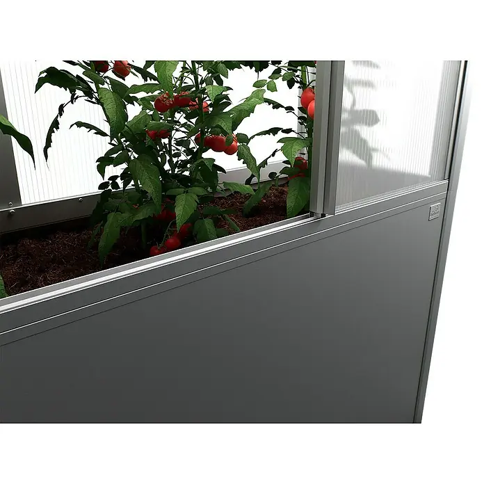Biohort Florentina Hochbeet-Abdeckung Florentina - L x B x H: 54,8 x 201,6 x 136,4 mm, Dunkelgrau Metallic - Ein detailreiches Foto zeigt einen erhöhten Pflanzkasten aus Metall mit reifen Tomatenpflanzen. Ideal für Garten- und Balkonliebhaber.