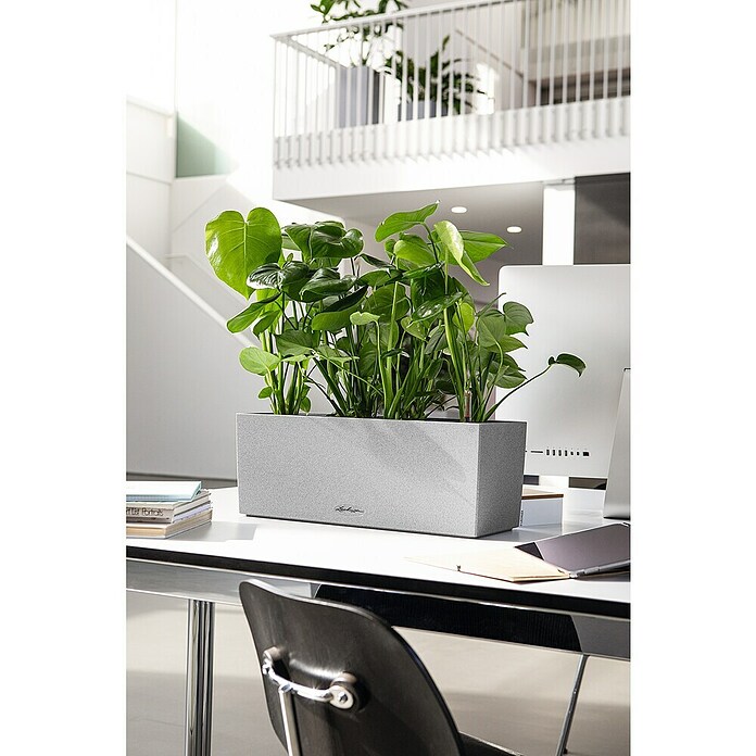 Lechuza Balconera Balkonkasten (Länge: 50 cm, Steingrau)