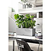 Lechuza Balconera Balkonkasten (Länge: 50 cm, Steingrau)