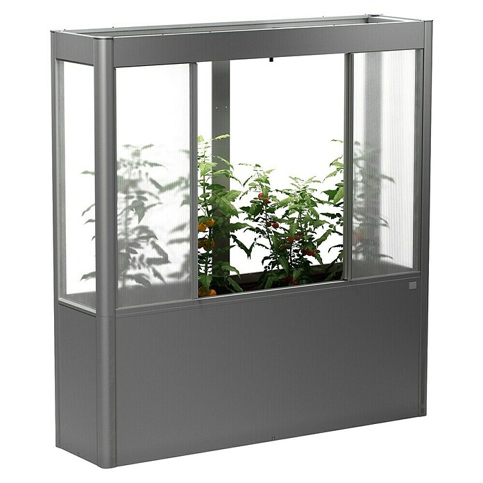 Biohort Florentina Gewächshaus (L x B x H: 54,8 x 201,6 x 213,4 cm, Quarzgrau Metallic, Stahl) | BAUHAUS