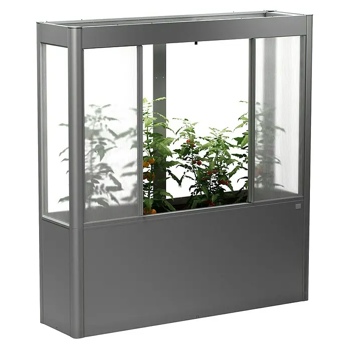 Biohort Florentina Hochbeet-Abdeckung Florentina - L x B x H: 54,8 x 201,6 x 136,4 mm, Dunkelgrau Metallic - Das Bild zeigt ein Mini-Gewächshaus mit Pflanzen. Die Struktur ist grau, mit transparenten Paneelen, ideal für den Anbau auf kleinem Raum.