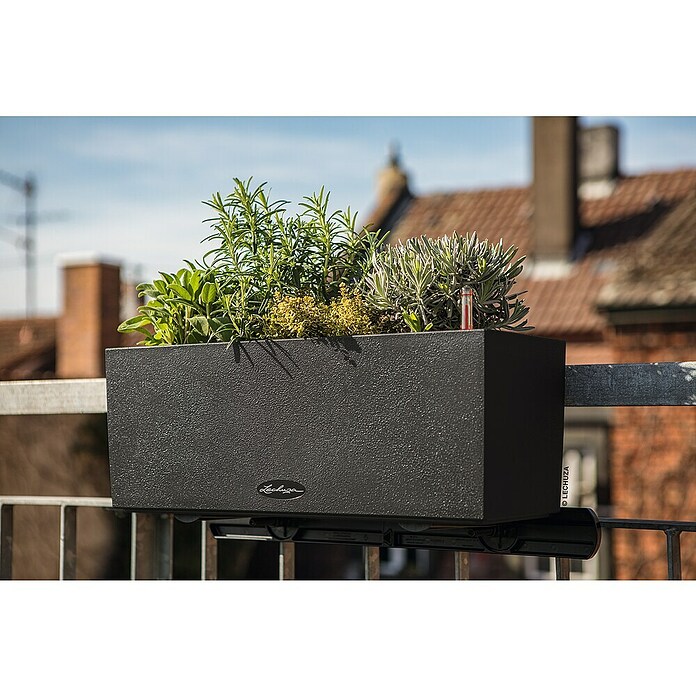 Lechuza Balconera Balkonkasten (Länge: 50 cm, Graphit)