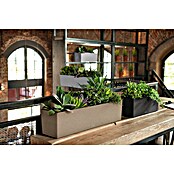 Lechuza Balconera Balkonkasten (Länge: 79 cm, Sandbeige)