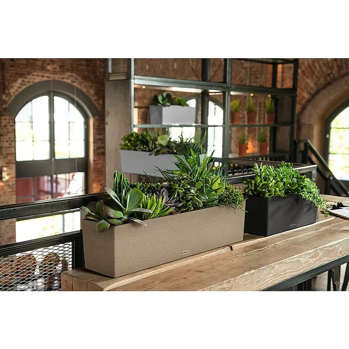 Lechuza Balconera Balkonkasten Stone - Max. Außenlänge: 79 cm, Sandbeige - Nahaufnahme von dekorativen LECHUZA-Pflanzgefäßen mit Sukkulenten und Grünpflanzen in einem modernen Interieur.
