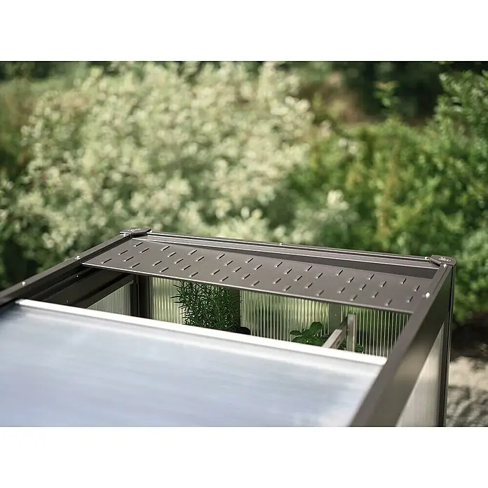 Biohort Florentina Automatischer Fensteröffner - Passend für: Biohort Gewächshaus Florentina - Nahaufnahme eines kleinen Gewächshauses mit belüftetem Schiebedach vor dem Hintergrund von Grünpflanzen.