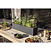 Lechuza Color Balkonkasten Balconera (Max. Außenlänge: 79 cm, Schiefergrau) | BAUHAUS