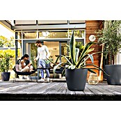 Lechuza Classico Pflanzkübel rund Color (Außenmaß (Ø x H): 60 x 55,5 cm, Kunststoff, Schiefergrau) | BAUHAUS