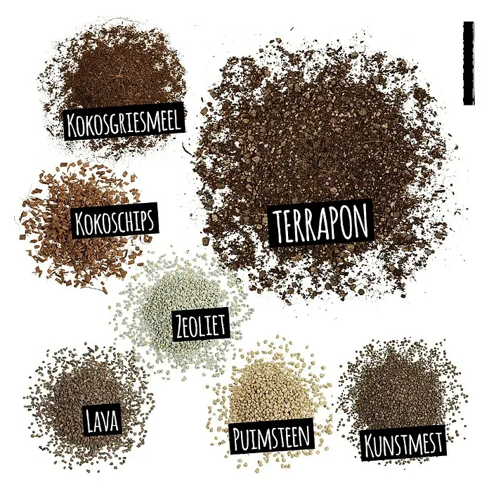 Lechuza Pflanzensubstrat Terrapon - 6 l - Verschiedene Bodensorten für Pflanzen, darunter Kokosfaser, Kokoschips, Terrapon, Zeolith, Lava, Bimsstein und Kunstdünger.
