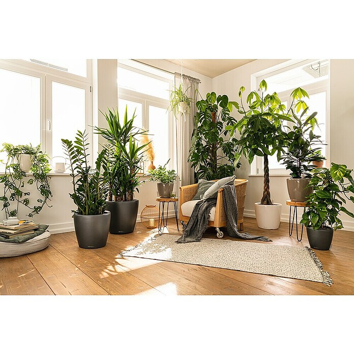 Lechuza Classico Pflanztopf Premium LS (Außenmaß (Ø x H): 28,5 x 26 cm, Kunststoff, Anthrazit Metallic) | BAUHAUS