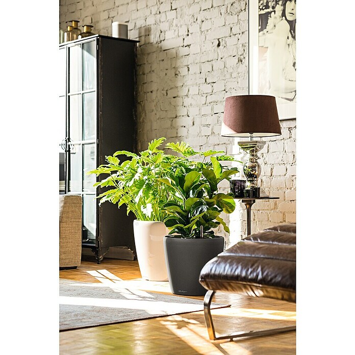 Lechuza Classico Pflanztopf Premium LS (Außenmaß (Ø x H): 36 x 32,5 cm, Kunststoff, Anthrazit Metallic) | BAUHAUS