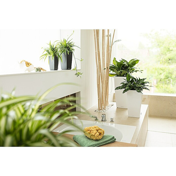 Lechuza Pflanzsäule eckig Cubico Premium (Außenmaß (L x B x H): 29,5 x 29,5 x 56,5 cm, Kunststoff, Weiß, Hochglänzend) | BAUHAUS