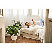 Lechuza Classico Pflanztopf Premium LS (Außenmaß (Ø x H): 43,5 x 39,5 cm, Kunststoff, Weiß Hochglanz) | BAUHAUS
