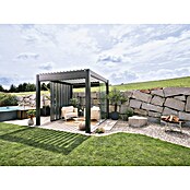 Biohort Lamellenpavillon Gr. 3 (B x T: 312 x 312 cm, Dunkelgrau Metallic, Material Gestell: Stahl) | BAUHAUS