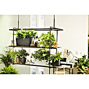 Lechuza Pflanzkasten Delta 20 (Außenmaß (L x B x H): 40 x 15 x 18 cm, Kunststoff, Anthrazit metallic) | BAUHAUS
