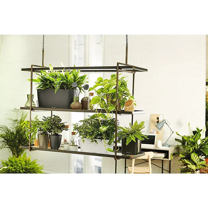 Lechuza Pflanzkasten Delta - Außenmaß (L x B x H): 40 x 15 x 18 cm, Kunststoff, Anthrazit metallic - Dekorative hängende Regaleinheit mit verschiedenen Pflanzen in stilvollen Töpfen, die das moderne Raumambiente aufwerten.