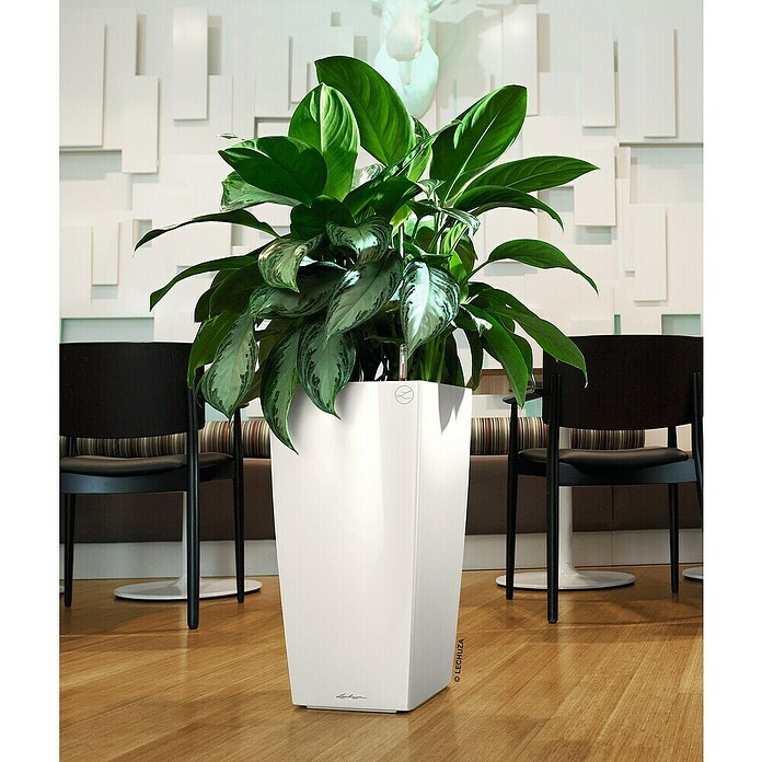 Lechuza Pflanzsäule eckig Cubico Premium (Außenmaß (L x B x H): 39,5 x 39,5 x 75,5 cm, Kunststoff, Weiß, Hochglänzend) | BAUHAUS