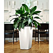 Lechuza Pflanzsäule eckig Cubico Premium (Außenmaß (L x B x H): 39,5 x 39,5 x 75,5 cm, Kunststoff, Weiß, Hochglänzend) | BAUHAUS