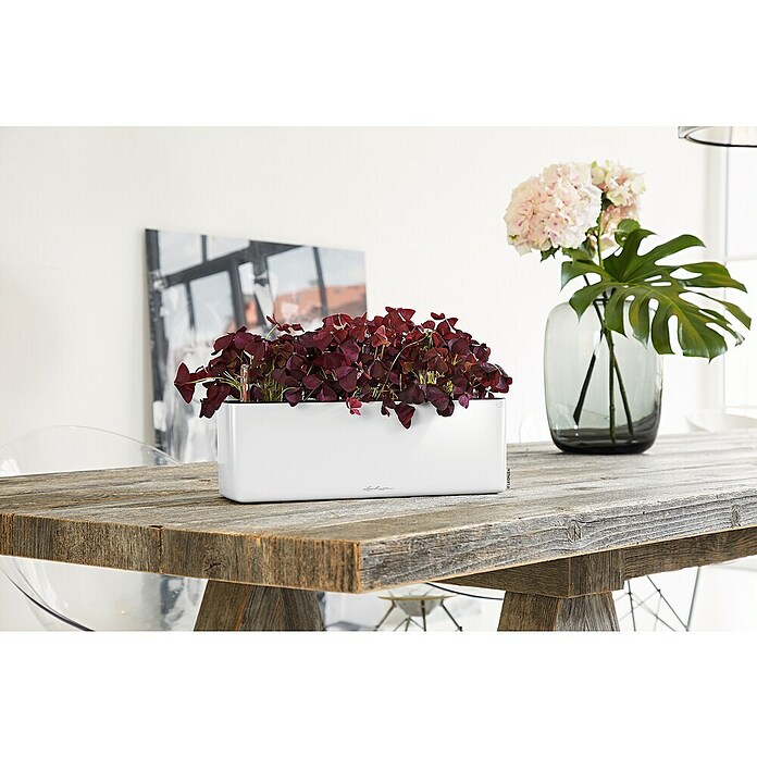 Lechuza Kräuterkasten Cube Glossy Triple (Außenmaß (L x B x H): 40 x 14 x 13,5 cm, Kunststoff, Weiß, Hochglänzend) | BAUHAUS