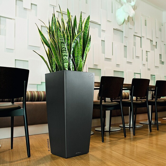 Lechuza Pflanzsäule eckig Cubico Premium (Außenmaß (L x B x H): 29,5 x 29,5 x 56,5 cm, Kunststoff, Anthrazit metallic) | BAUHAUS
