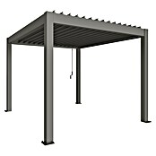 Biohort Pergola Gr. 3 (B x T: 312 x 367,5 cm, Quarzgrau Metallic, Material Gestell: Stahl) | BAUHAUS