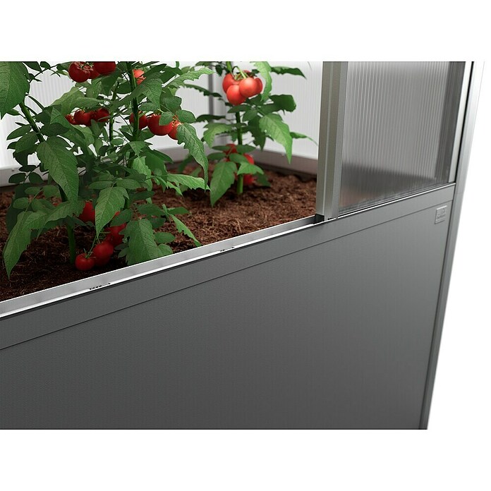 Biohort Florentina Gewächshaus (L x B x H: 104 x 201,6 x 213,4 cm, Quarzgrau Metallic, Stahl) | BAUHAUS