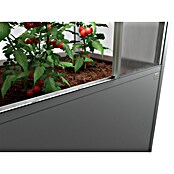 Biohort Florentina Gewächshaus (L x B x H: 104 x 201,6 x 213,4 cm, Quarzgrau Metallic, Stahl) | BAUHAUS