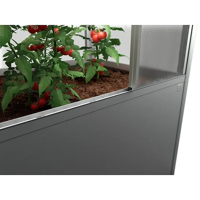 Biohort Florentina Gewächshaus - L x B x H: 104 x 201,6 x 213,4 cm, Quarzgrau Metallic, Stahl - Naheaufnahme eines Hochbeets mit reifen roten Tomatenpflanzen in einem modernen Gewächshaus. Ideal für Gartenfreunde!