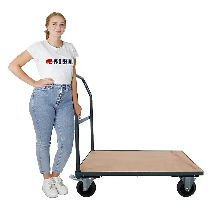 Profi Plattformwagen | HxBxT 102x60x98cm | Traglast 450kg | Vollgummibereifung, 2x Lenkrollen mit Feststellbremse & 2x Bockrollen | Grau | Transportwagen Transporthilfe Handwagen - 