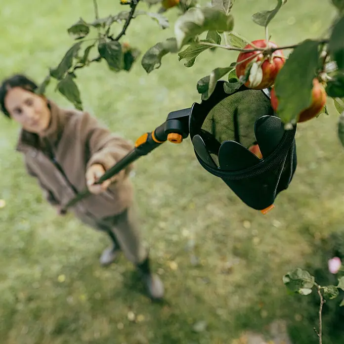 Fiskars OneClick Obstpflücker - Arbeitsbreite: 16,8 cm - Eine Frau pflückt mit einem praktischen Obstpflücker Äpfel vom Baum, um die Ernte zu erleichtern und zu beschleunigen.