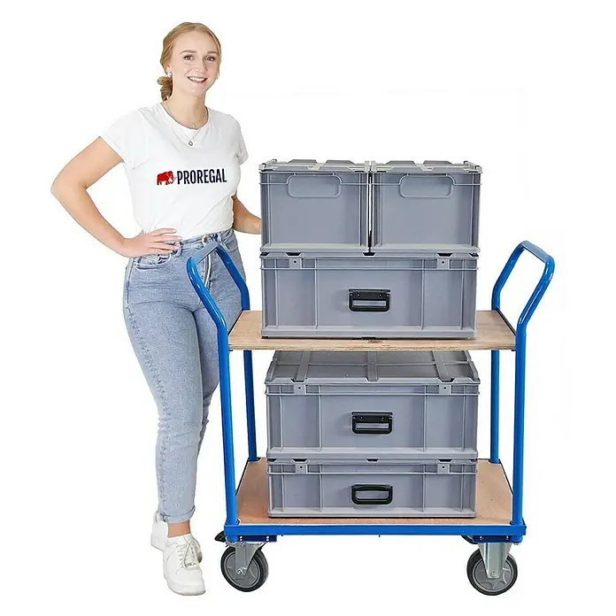Proregal Transportroller / Tischwagen mit 2 Etagen & 2 Schiebebügeln - Traglast: 400 kg