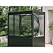 Biohort Florentina Rankhilfe (Passend für: Biohort Florentina Gewächshaus, 150,8 x 150,8 cm) | BAUHAUS