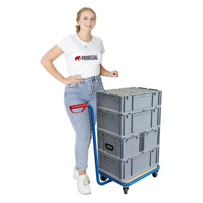 Proregal Transportroller / Griffroller - Traglast: 250 kg
