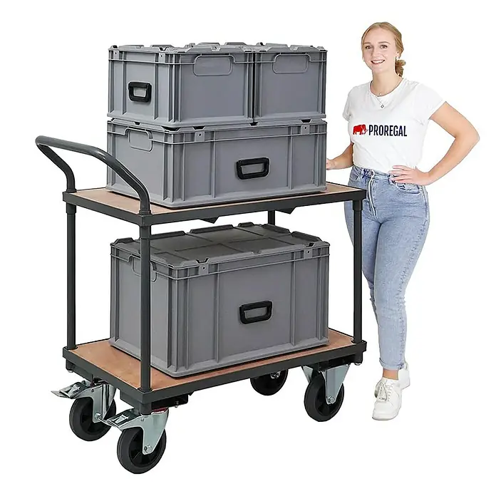 Proregal Transportroller / Tischwagen mit 2 Etagen - L x B x H: 50 x 97 x 95 cm, Traglast: 400 kg