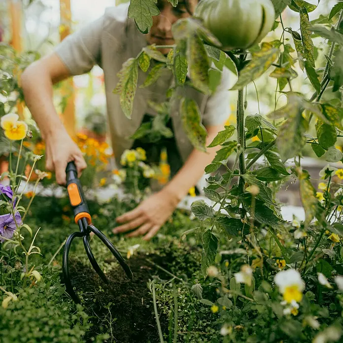 Fiskars OneClick Kleingrubber Handgriff S - Länge: 43,6 cm, Stahl - Gärtner lockert Boden mit einem Grubber auf, um das Wachstum von Pflanzen in einem Garten zu fördern.