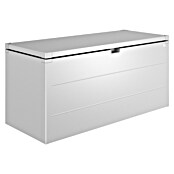 Biohort StyleBox Kissenbox 170 (L x B x H: 170 x 70 x 81 cm, Stahl, Silber-Metallic) | BAUHAUS