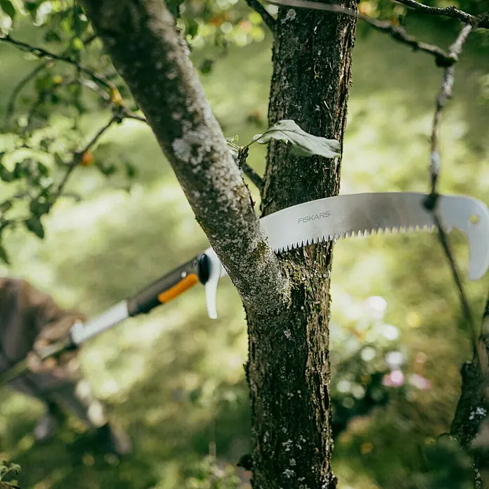 Fiskars OneClick Baumsäge - Passend für: Fiskars OneClick Stiel, Länge: 62,1 cm - Astsäge von Fiskars beim Beschneiden eines Baumes im Garten. Die Säge ist am Baum angesetzt und bereit zum Sägen eines Astes.