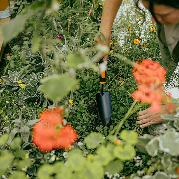 Fiskars OneClick Blumenkelle - 28,8 cm - Nahaufnahme einer Gartenschaufel zwischen Blumen und Grün, ideal für Gartenarbeiten und Pflanzenpflege.