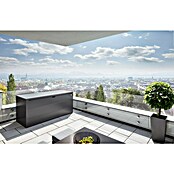 Biohort StyleBox Kissenbox 170 (L x B x H: 170 x 70 x 81 cm, Stahl, Dunkelgrau-Metallic) | BAUHAUS