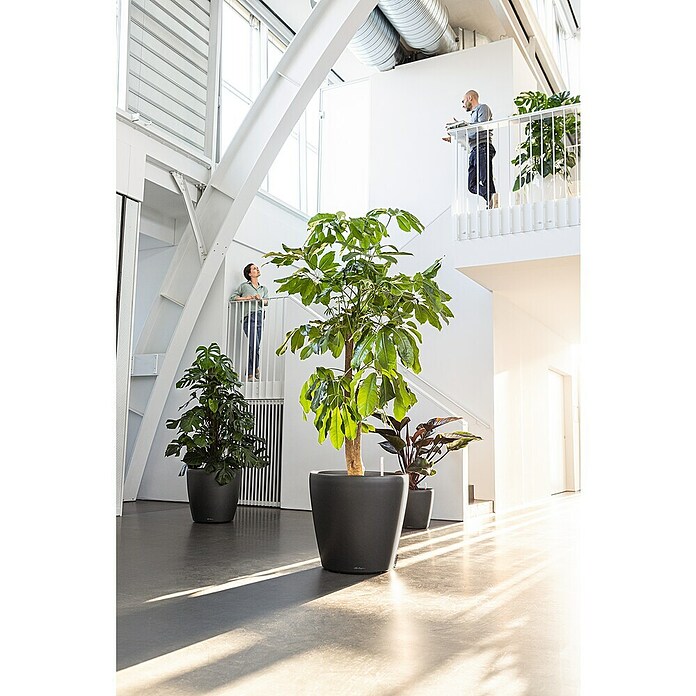 Lechuza Classico Pflanztopf (Außenmaß (Ø x H): 70 x 64,5 cm, Kunststoff, Anthrazit Metallic) | BAUHAUS