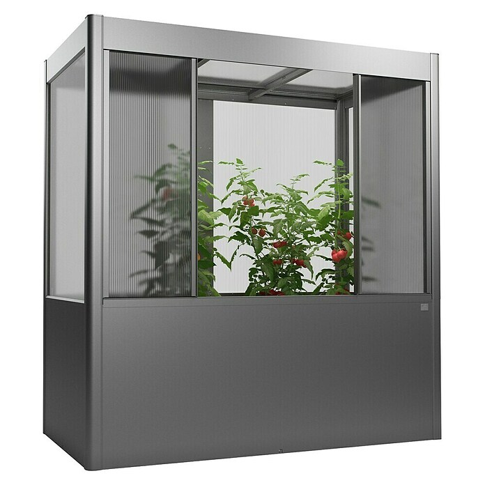 Biohort Florentina Gewächshaus (L x B x H: 104 x 201,6 x 213,4 cm, Quarzgrau Metallic, Stahl) | BAUHAUS