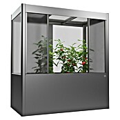 Biohort Florentina Gewächshaus (L x B x H: 104 x 201,6 x 213,4 cm, Quarzgrau Metallic, Stahl) | BAUHAUS