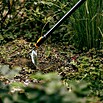 Fiskars OneClick Unkrauthacke (Arbeitsbreite: 18,5 cm) | BAUHAUS