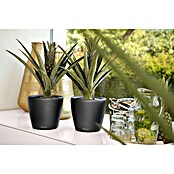 Lechuza Classico Pflanztopf Premium LS (Außenmaß (Ø x H): 22 x 20 cm, Kunststoff, Anthrazit Metallic) | BAUHAUS