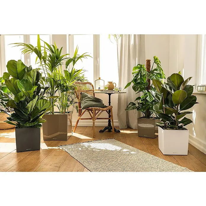 Lechuza Cube Pflanzkübel eckig Premium - Außenmaß (L x B x H): 39 x 39 x 40 cm, Kunststoff, Anthrazit Metallic - Zimmer mit Pflanzen in Lechuza Pflanzgefäßen in verschiedenen Farben. Schönes, natürliches Ambiente für ein entspanntes Wohngefühl.