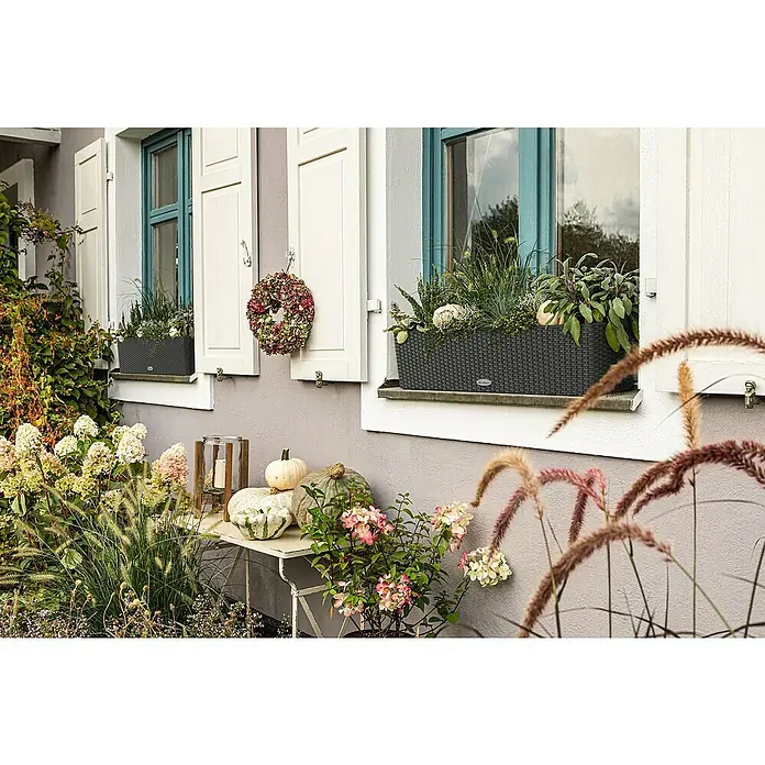 Balkonkasten Balconera Set - Max. Außenlänge: 79 cm, Kunststoff, Grau - Herbstliche Gartendekoration mit LECHUZA Pflanzgefäßen, Kürbissen und Blumen. Die Kästen sind mit Pflanzen und kleinen Kürbissen gefüllt.